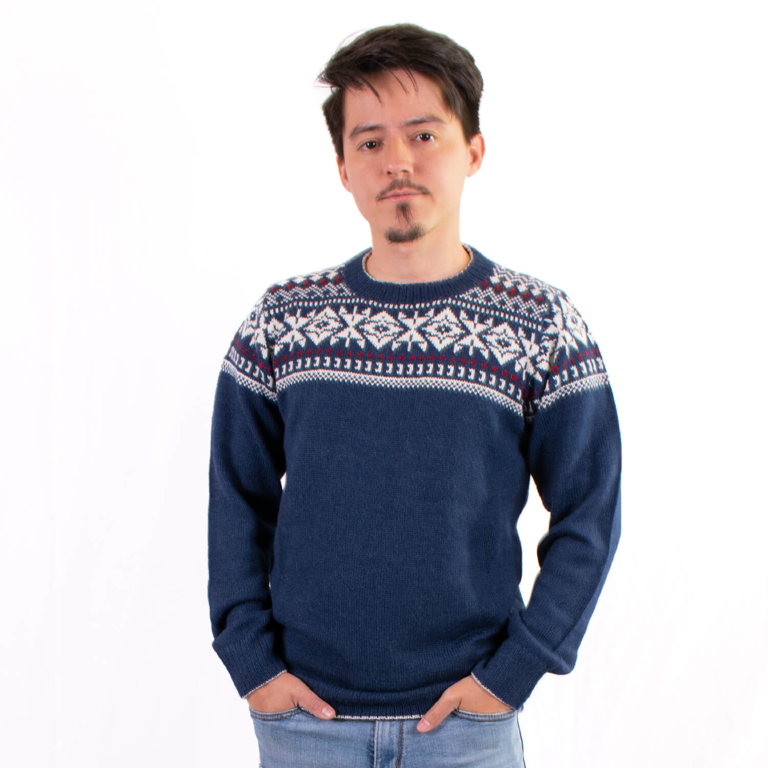 Alpaca-Sweater-half christmas-01