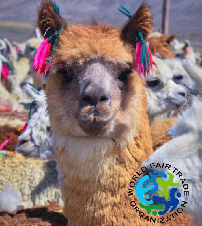 About Us LAM Bolivia WFTO